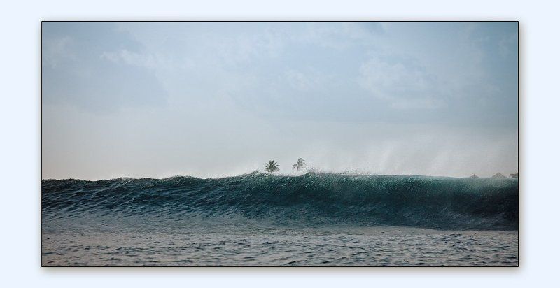 Про волну и две пальмыphoto preview