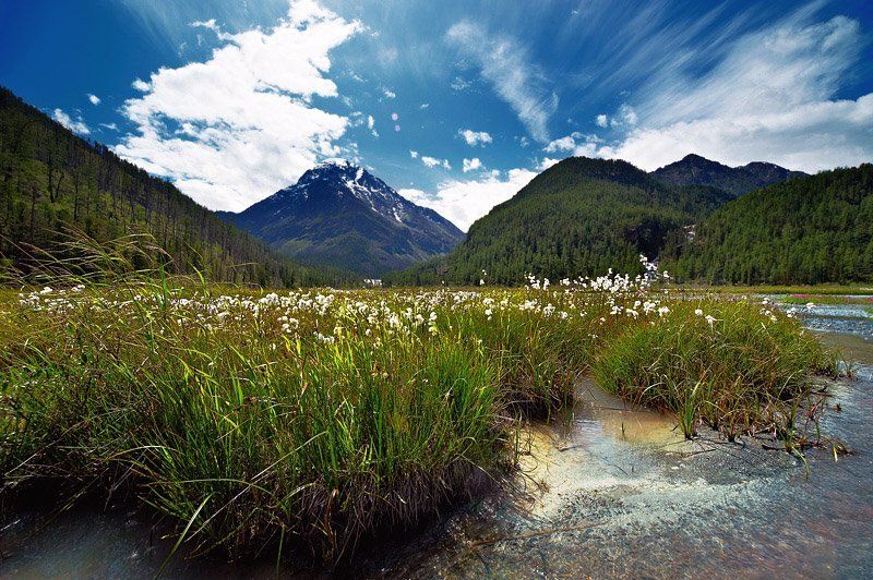 алтай, кониайры, дарашколь photo preview