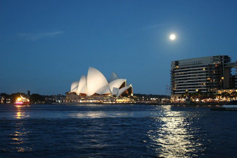 Sea shells.photo preview