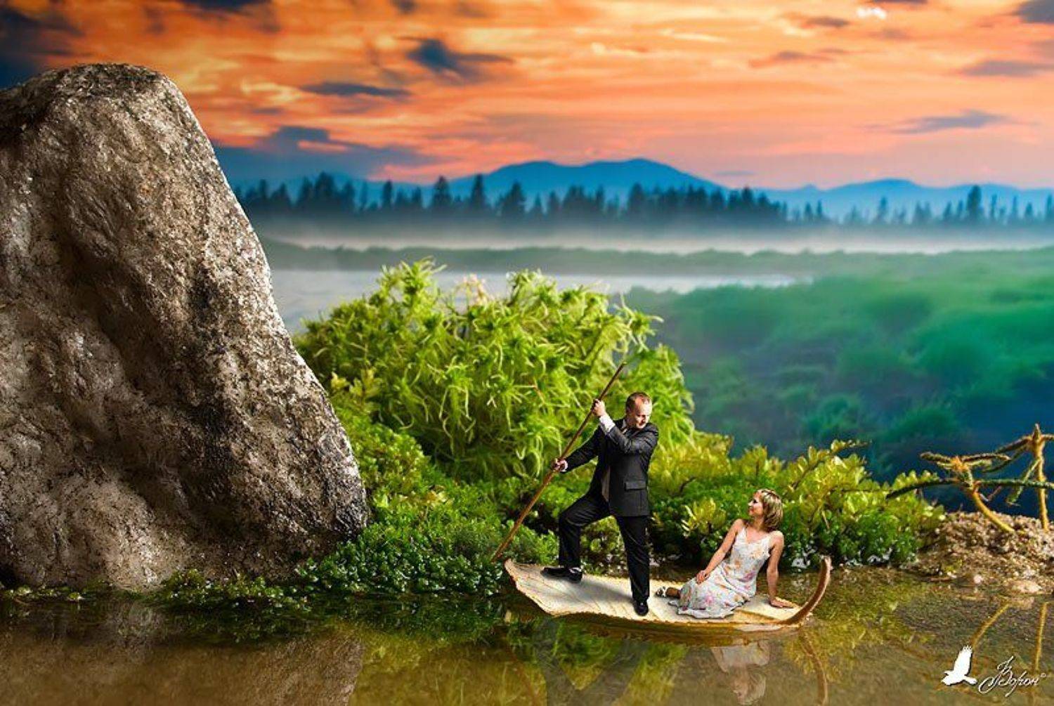 семья, пара, студия, макро и т.д., Ворон