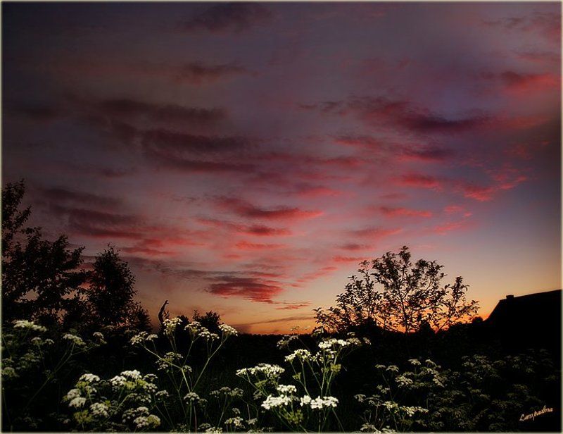 тверская область, харитоново, закат Эскалатор для уходящего солнца фото превью