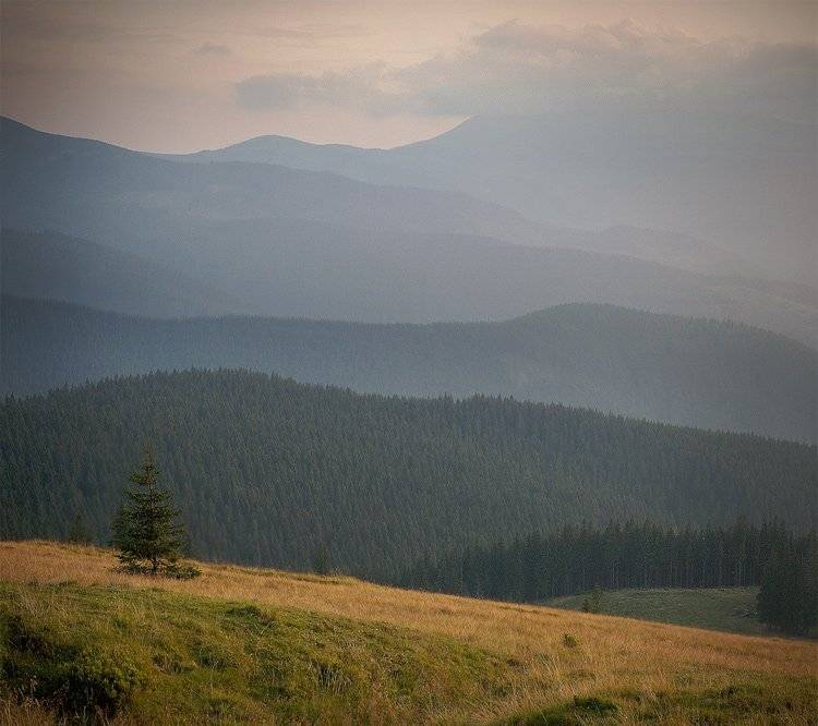 ...в простоте.... Автор: Piligrim , Piligrim