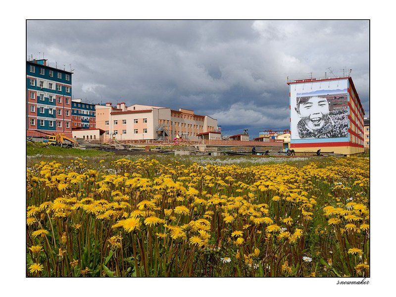 Multicolors of Anadyr VIphoto preview