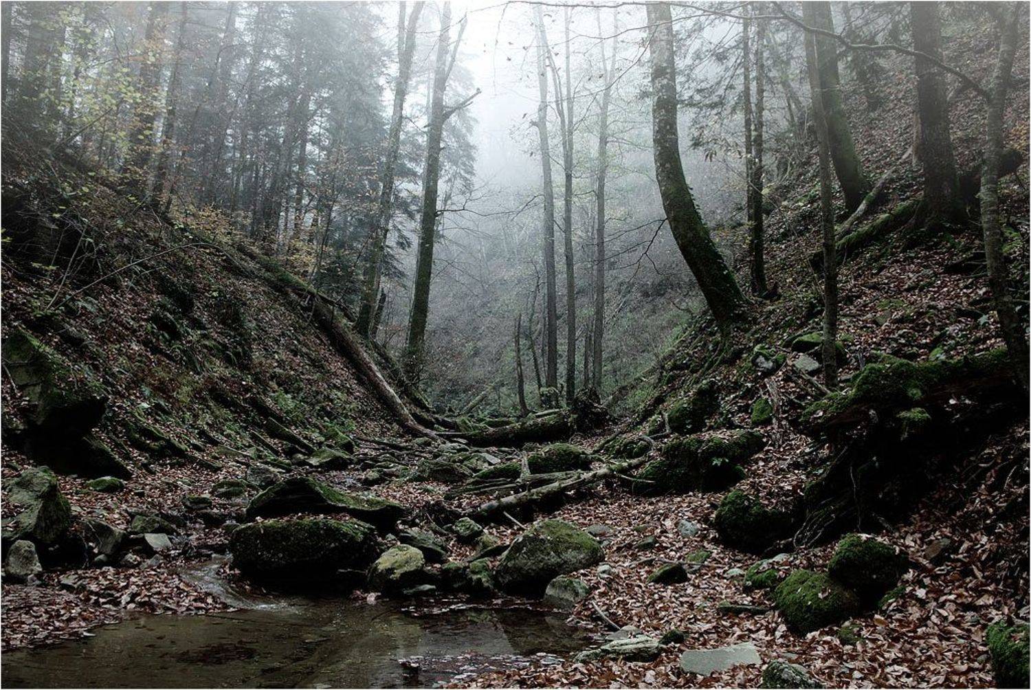 Пристанище сумрака. Автор: Сергей Павлов , Сергей Павлов