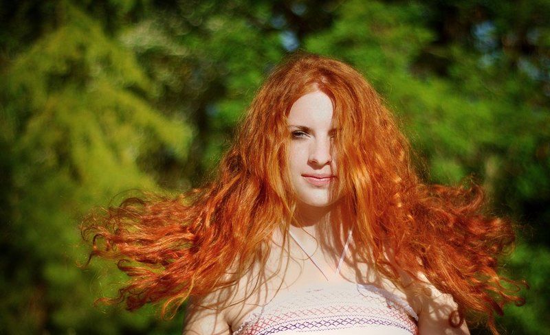 Рыжикphoto preview