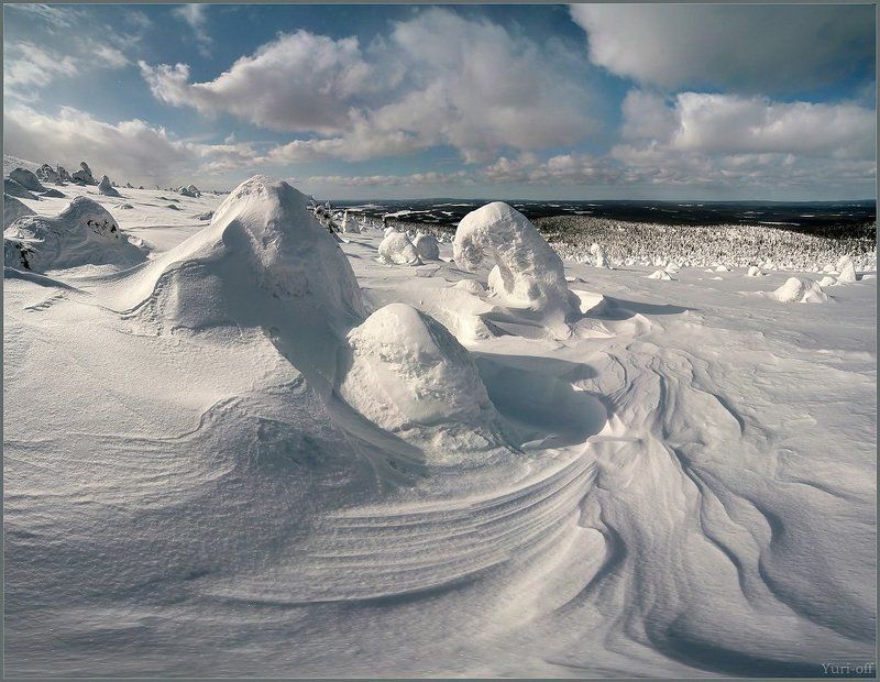 ЁЛОЧЬИ БЕРЛОГИ...photo preview