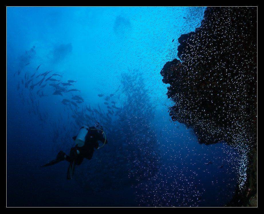 Созвездие Рыб. Автор: Сергей Шанин симиланы, Сергей Шанин