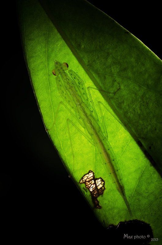 自由职业photo preview