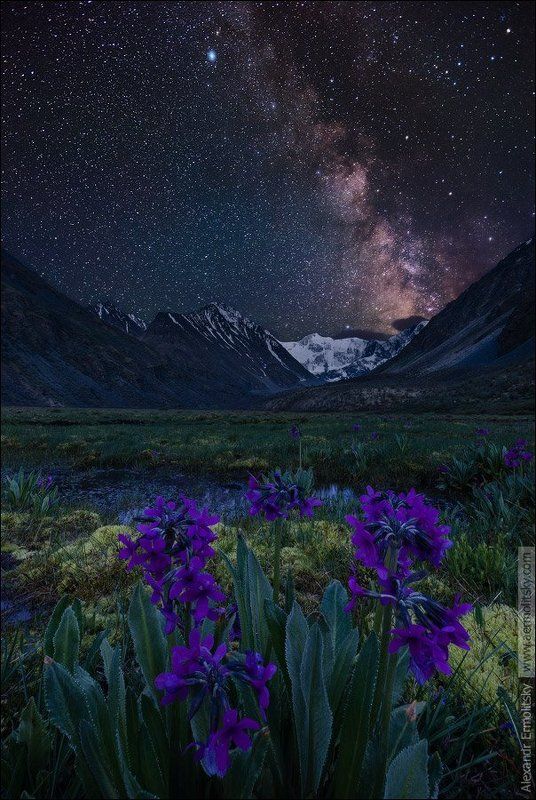 Altai, Алтай ~ Кара тюн ~photo preview