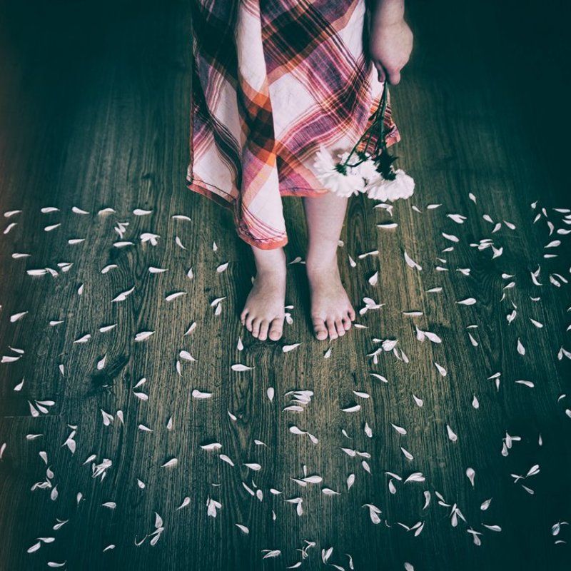 Love me, love me notphoto preview