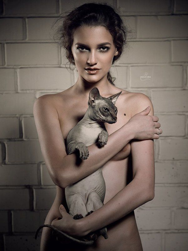 Art, Cat, girl, Nude, Sphinx CATSphoto preview