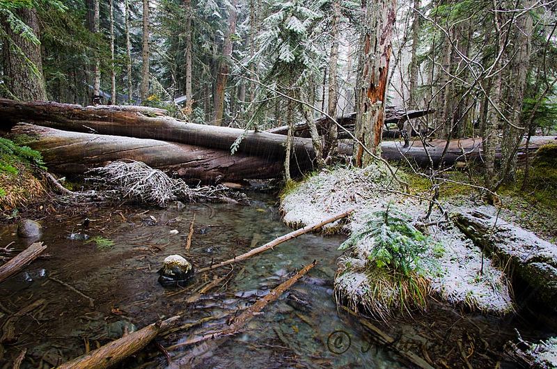 зимовка на Белой рекеphoto preview