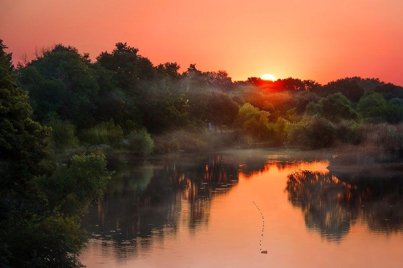 Зорькаphoto preview