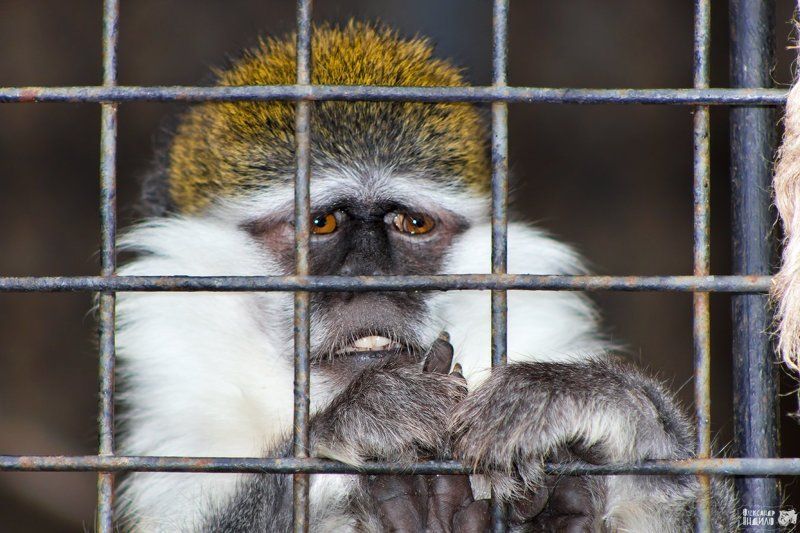 Еще 15 лет... !!!!photo preview