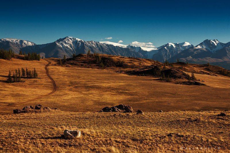 Алтай, Северо-чуйский хребет Алтай. Северо-Чуйский хребет.photo preview