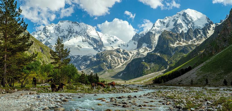 адырсу, кабардино-балкария, приэльбрусье, северный кавказ, ущелье в горах у рекиphoto preview