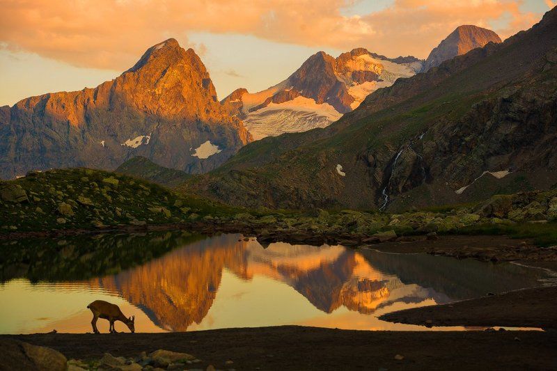 Высокогорный пейзажphoto preview