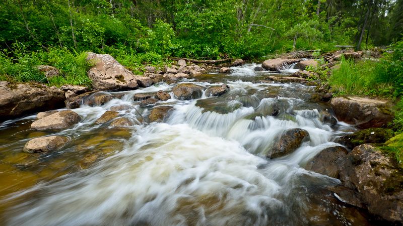 Речка и перекаты Золотанки.photo preview