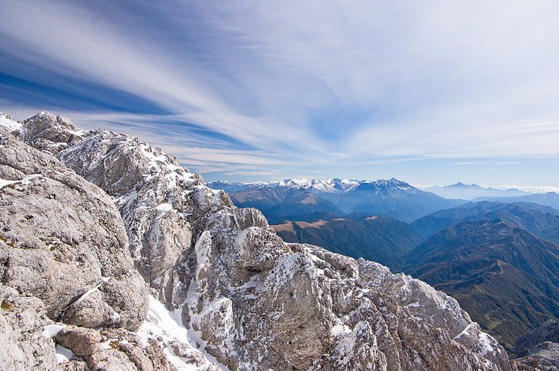 про Фиштphoto preview