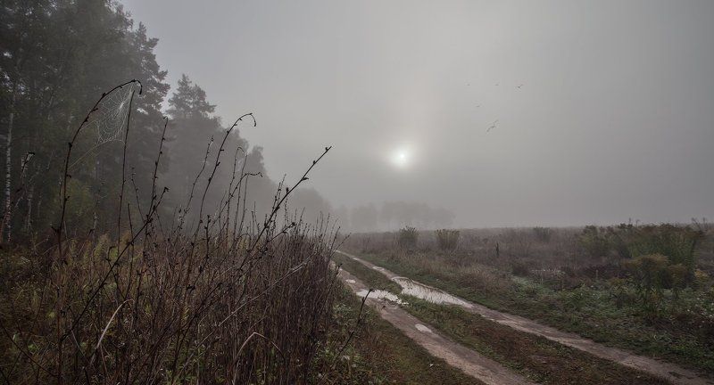 Купавна, луг, осень, туман Здравствуй, сентябрьphoto preview