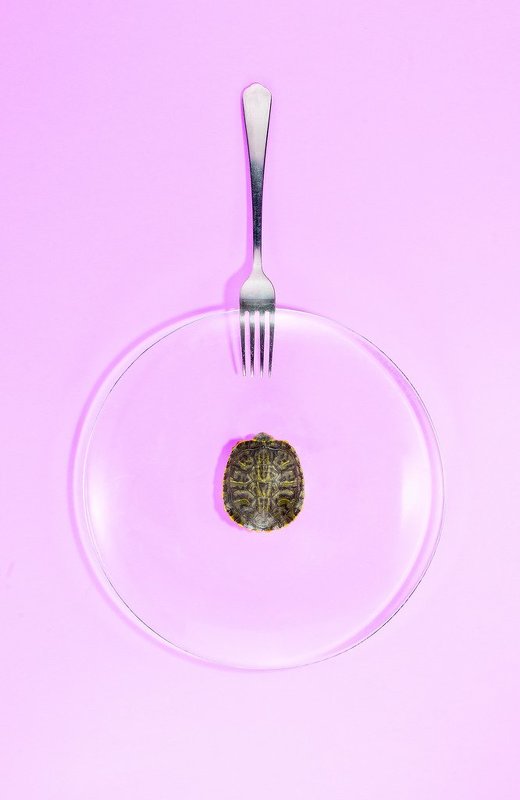 Food fetishphoto preview