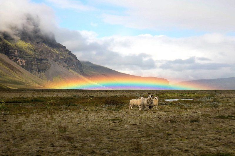 О ленивом леприконеphoto preview
