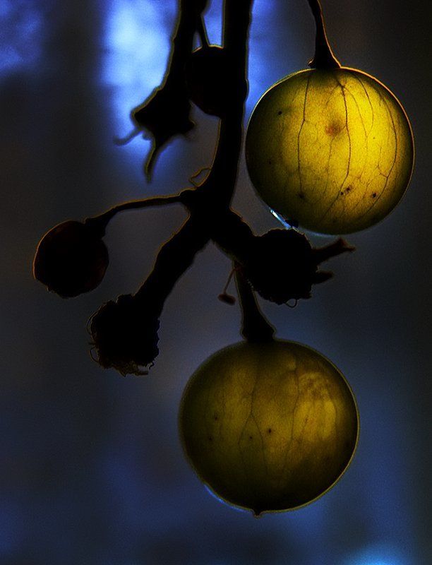 wake,mood,nature,light,sony, অশুভ প্রফুল্লতা আটphoto preview