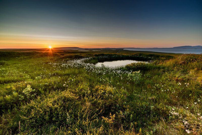 Чукотка. Тундра на закатеphoto preview