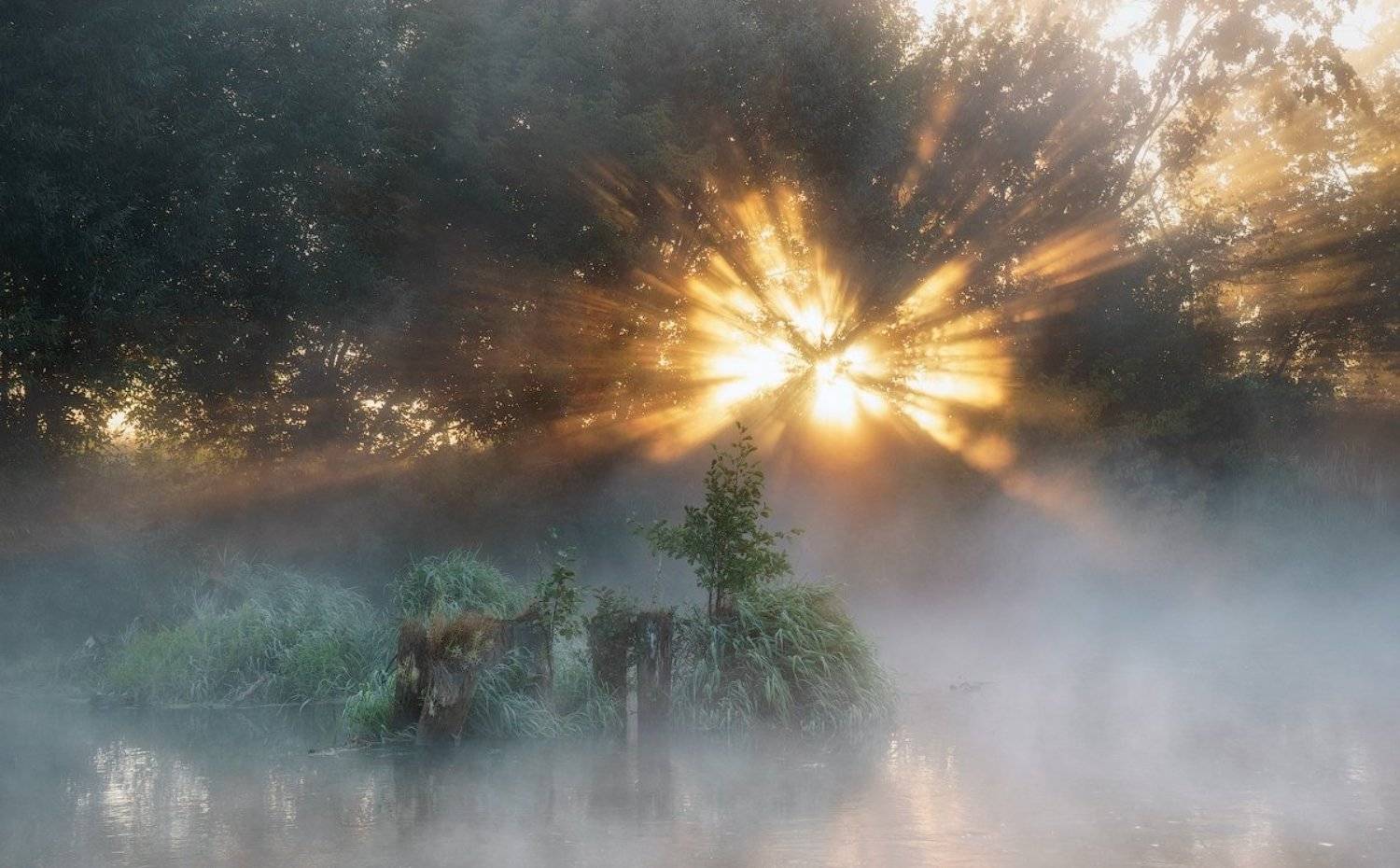 туман,река,вода,рассвет,лето,свет,солнце,лучи,клязьма,сони, Пеккер Сергей