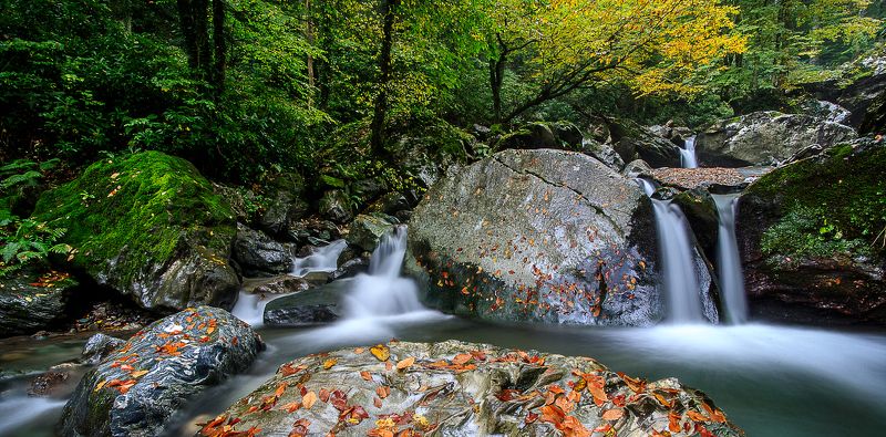 waterfall forest beauty yellov orange leaves water beauty canon 6D tamron 17-35mm waterfallphoto preview