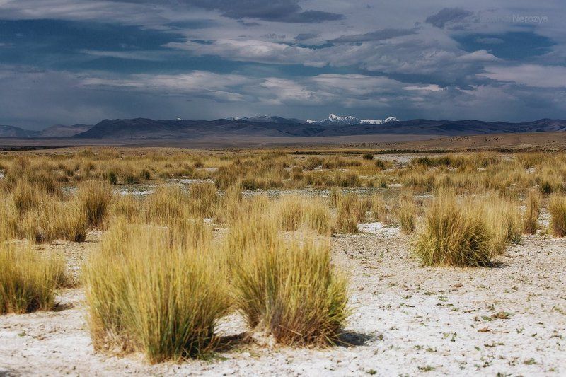 алтай, нерозя, степь, сибирь, небо, солончак, тучи, кош-агач Алтайский стильphoto preview