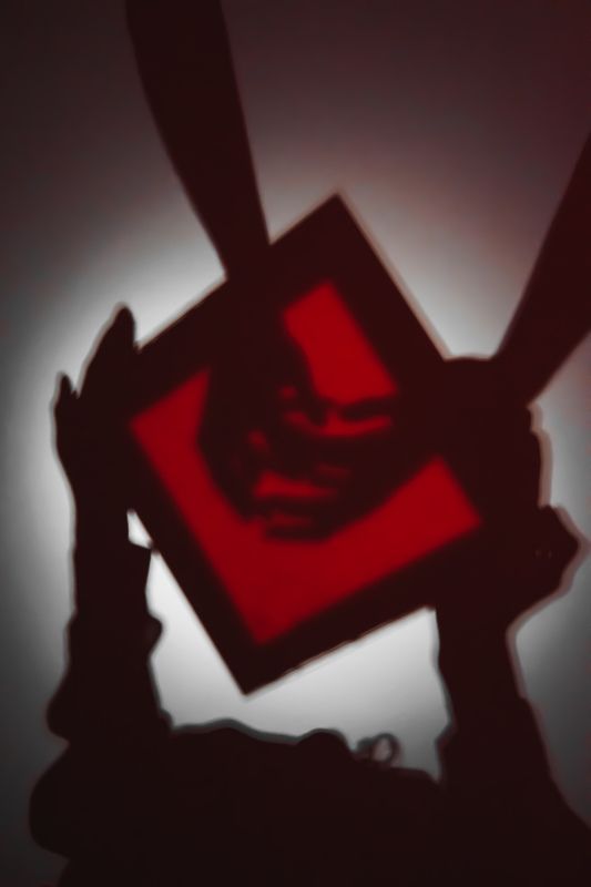 Red Shadowphoto preview