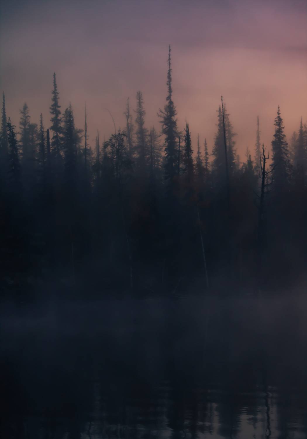 плато путорана, пейзаж, тайга, туман, утро, NIKIFOROVA KSENIA