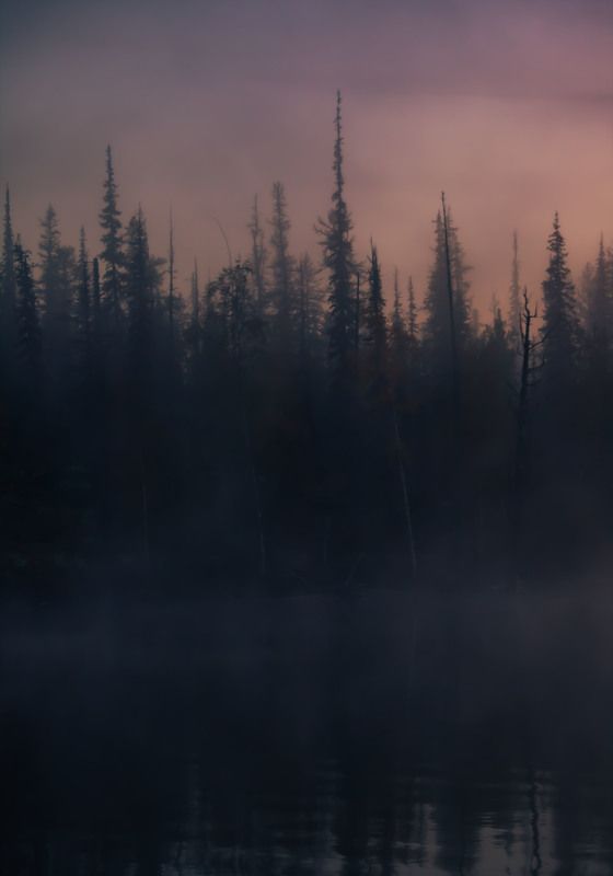 плато путорана, пейзаж, тайга, туман, утро Арктические сумеркиphoto preview