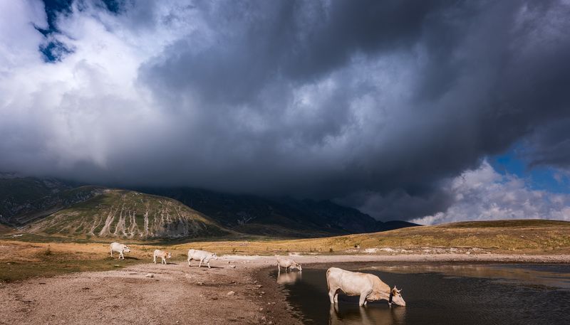 Где-то в горахphoto preview