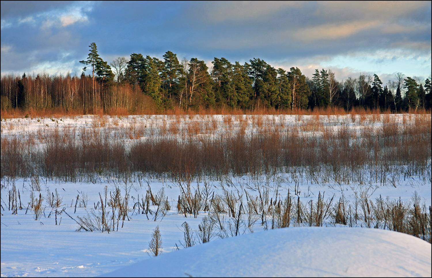 Вот моя деревня.... Автор: Тарасов Алексей сальково, Тарасов Алексей