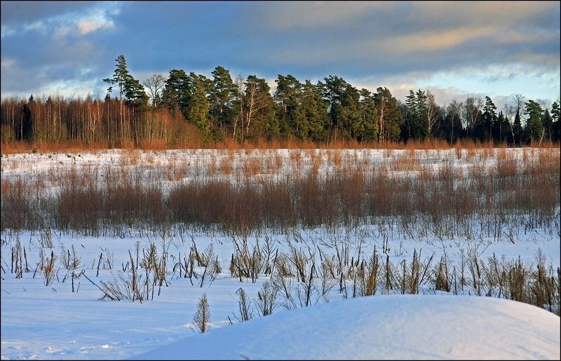 сальково Вот моя деревня... фото превью