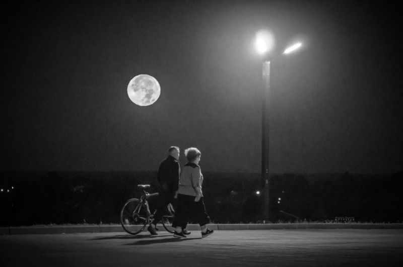полнолуние, прогулка, парк, жанр, чёрно-белое Прогулка в полнолуниеphoto preview