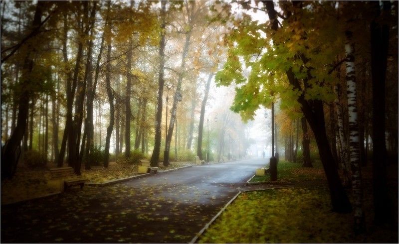 город, осень, ранняя, александровский, сад, аллея, утро Ранняя осень Александровского Садаphoto preview