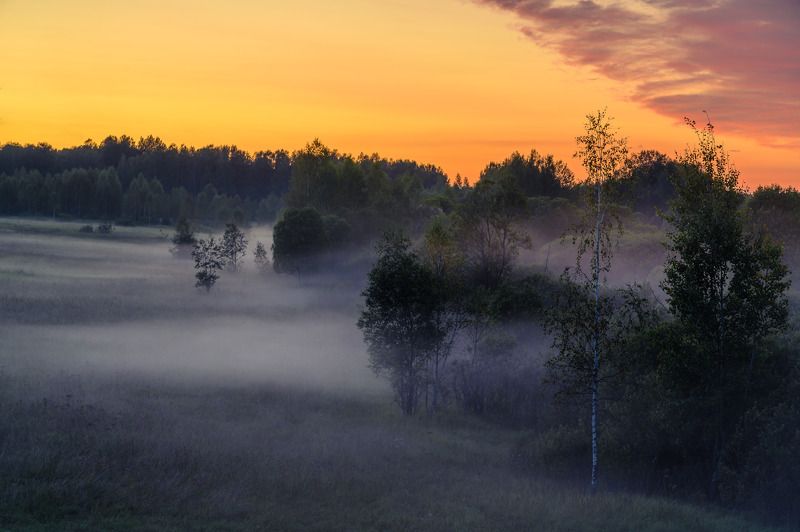 Туманный вечер. фото превью