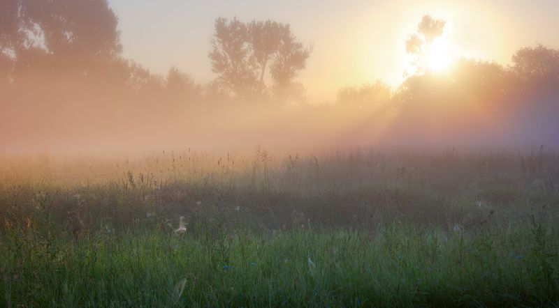 sunrise, fog, mist, landscape, morning, light \