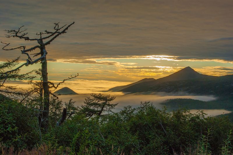 Туманный вечерphoto preview