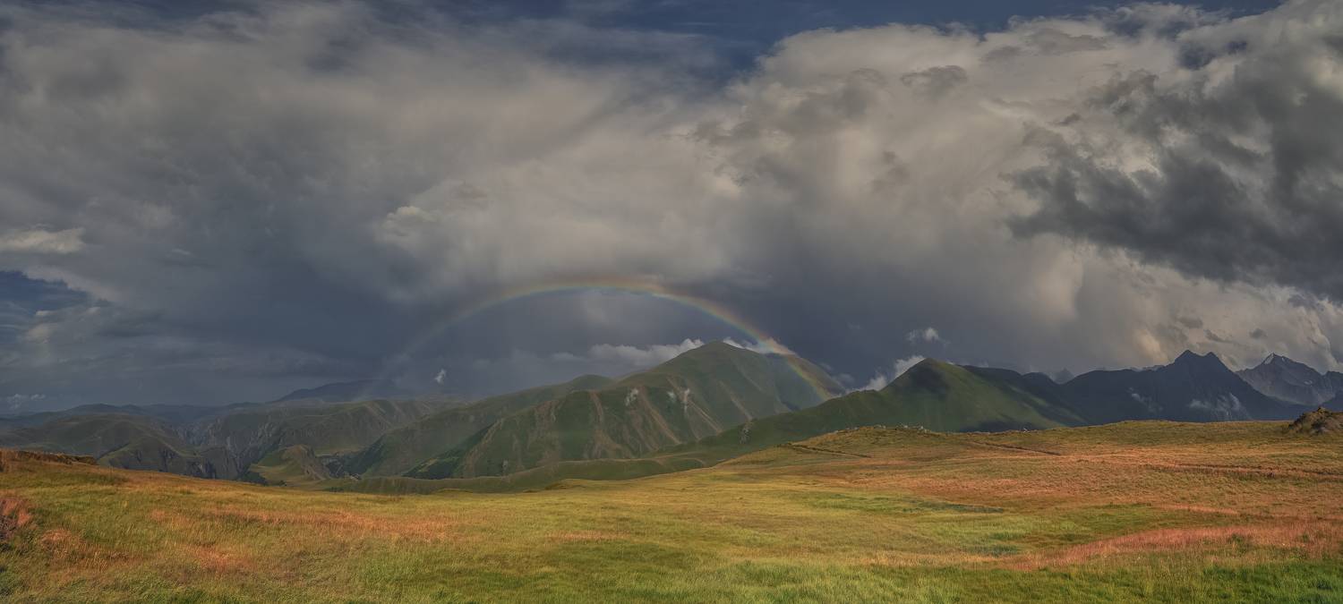 , ПУЗЕНКО ДМИТРИЙ