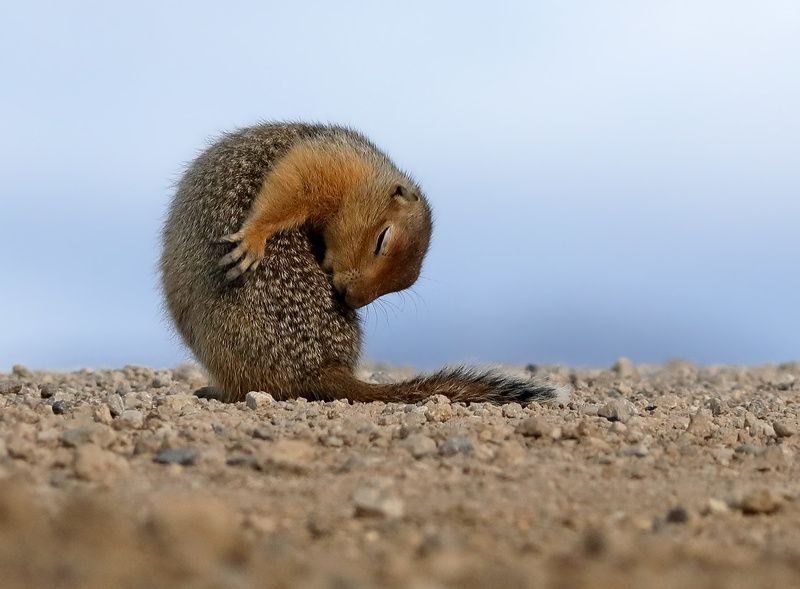 Засоняphoto preview