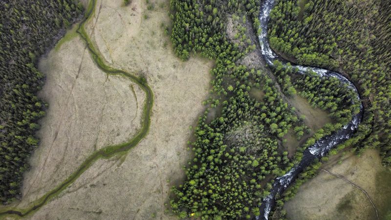 Два русла одной рекиphoto preview