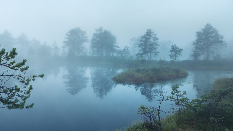 #eesti, #estonia, #visitestonia, #visiteesti, #harjumaa, #visitharju, #visitharjumaa, #sunrise, #sunrisephotography, #sunrise_sunset_photogroup, #sunrise_and_sunsets, #beautifuldestinations, #beautifulsunrise, #foggysunrise, #goldensunrise, #sunriseofthed ***photo preview