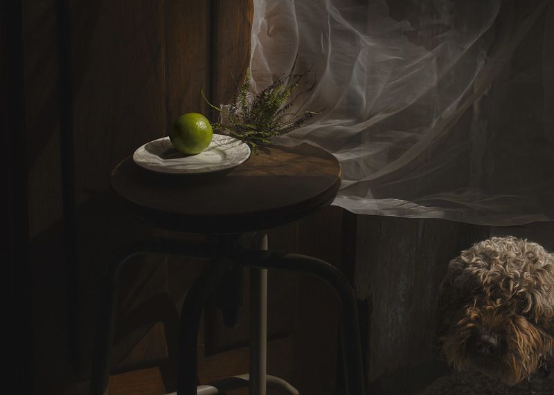 Stasya and limephoto preview