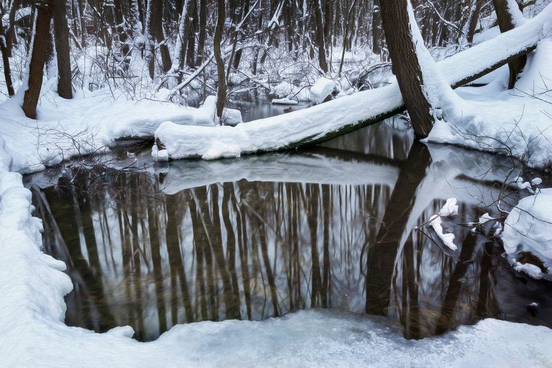 лес, зима, деревья, ручей В зимнем лесу фото превью