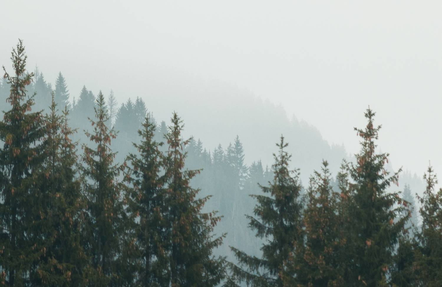 , Котов Андрей