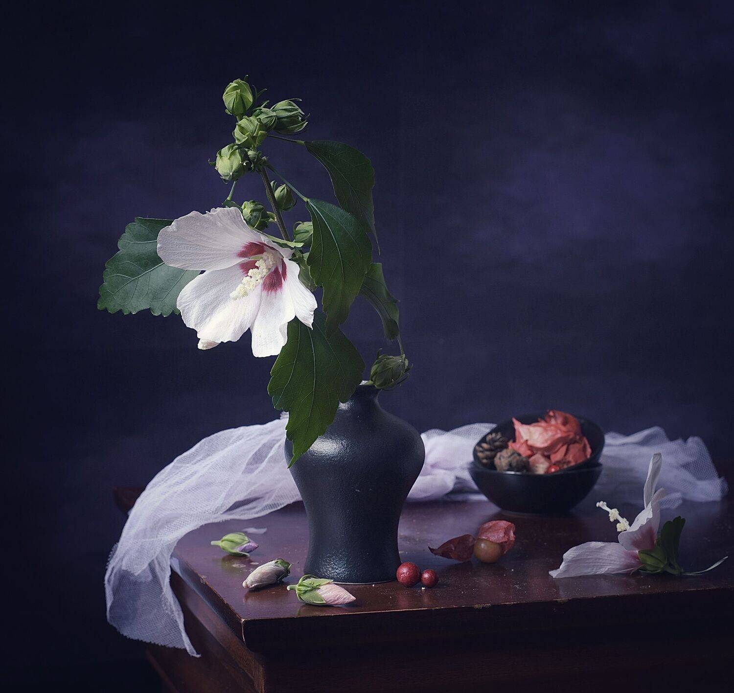 Tales of Heart. Автор: ,